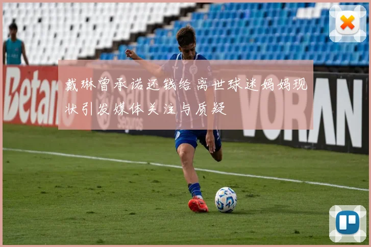 戴琳曾承诺还钱给离世球迷妈妈现状引发媒体关注与质疑
