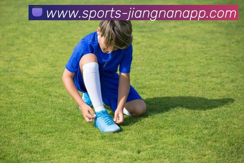 江南体育平台生态图